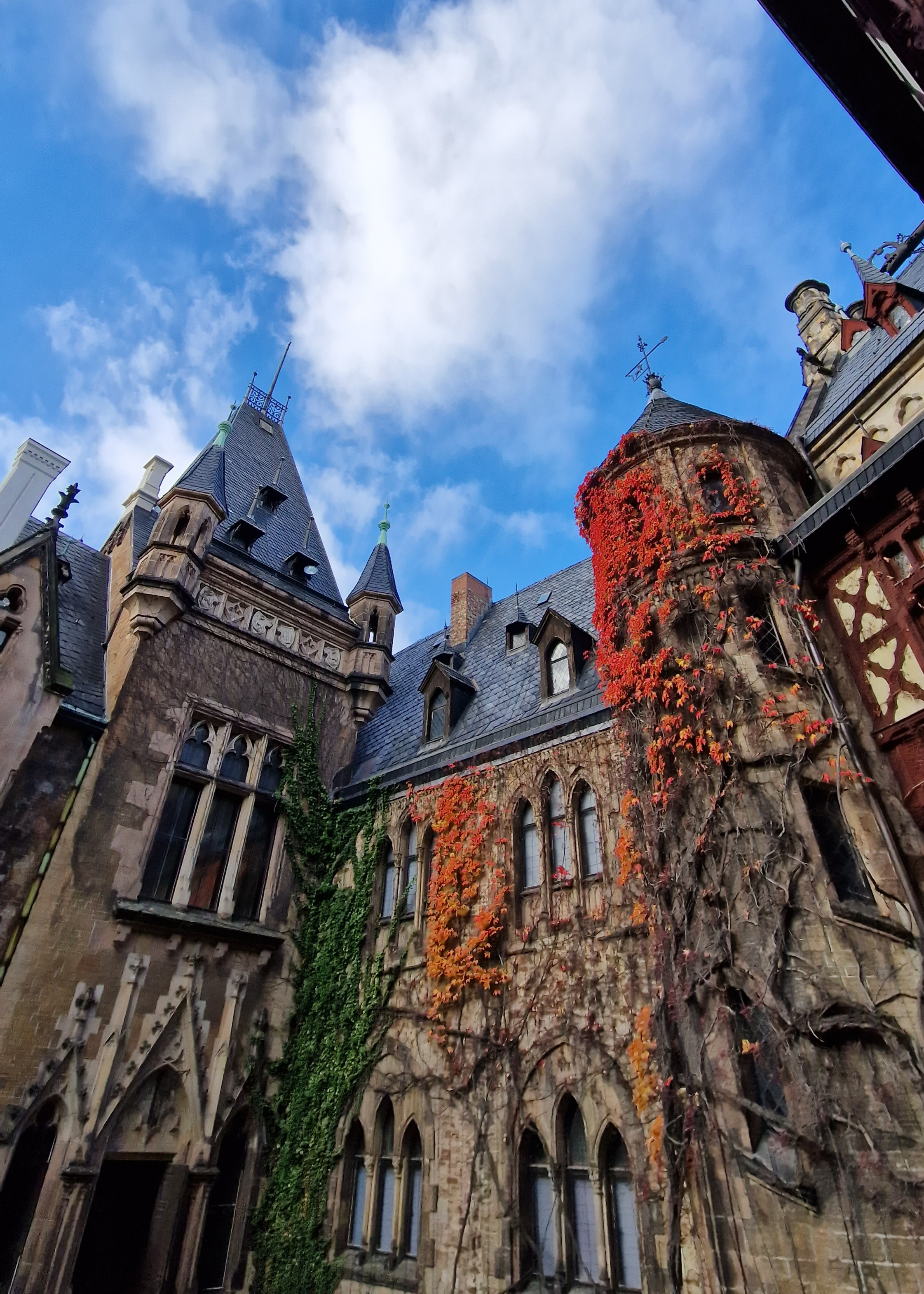 Picture of Wernigerode castle in Germany
