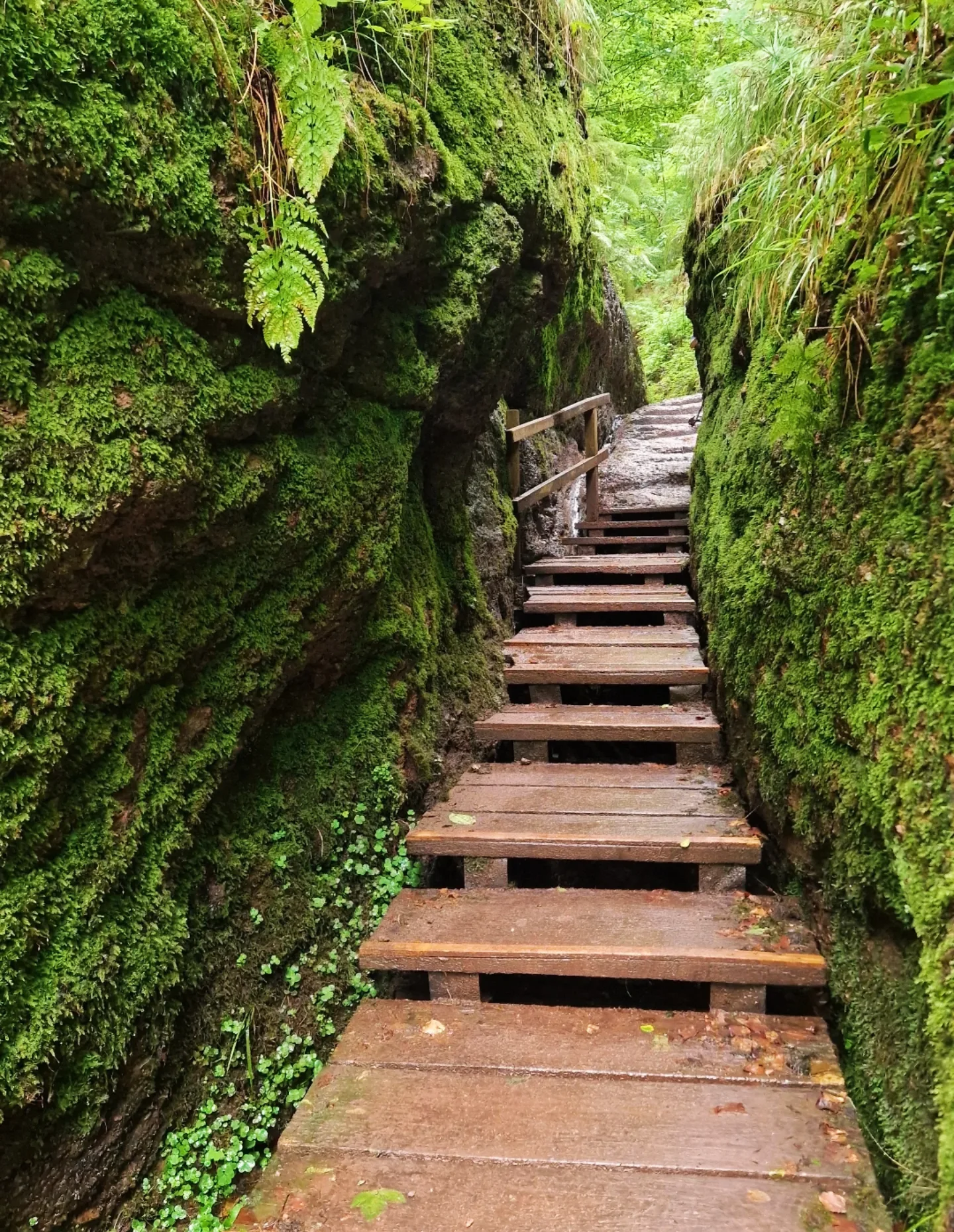 Picture of the Drachenschlucht hike in Germany